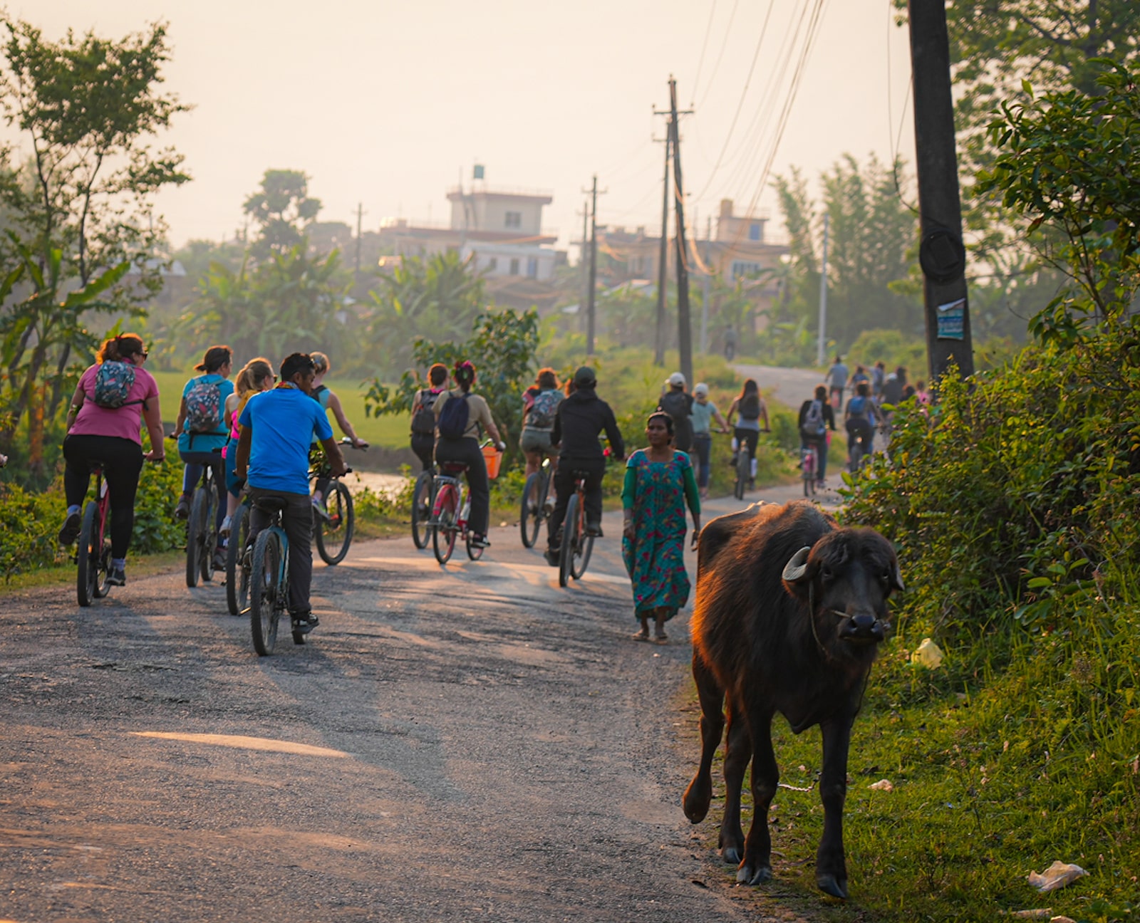 Trek éco responsable